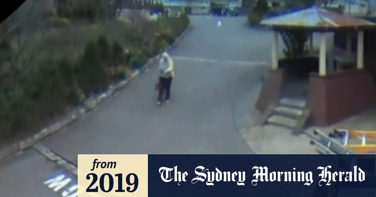 Video Missing woman